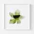 Green Orchid Floral Art Print